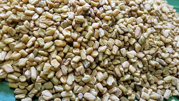 Semillas de Fenogreco. (Wikimedia Commons)