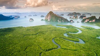 El Fondo para la Regeneración