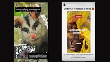 El activista publicó unas historias en su cuenta de Instagram en las que condenó los hechos - crédito andrespreciadop/Instagram