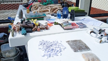 Se hallaron 42 bolsitas con sustancia parduzca, 31 envoltorios de papel, 161 con restos vegetales y 16 bolsitas con sustancia blanquecina - Créditos: INPE.