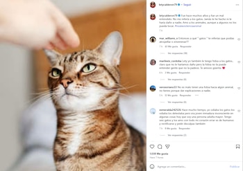 Captura de pantalla publicación de Lety Calderón sobre los gatos (Instagram/letycalderon79)