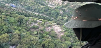 Un militar observa la plantación