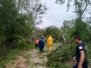 El municipio de San Marcos,