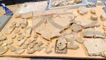 Encuentran pinturas sin precedentes del