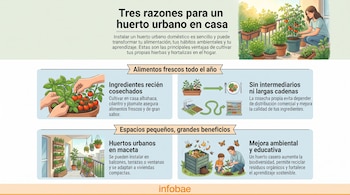 Infografía. Título: 'Tres razones para un huerto urbano en casa'. Muestra personas cultivando, vegetales, un balcón con macetas, un compostador y un padre con hijo plantando. Texto explicativo.