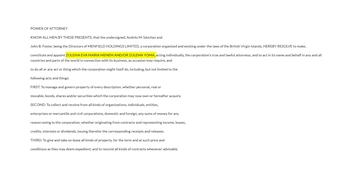 Poder otorgado en favor