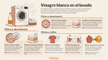 Infografía con ilustraciones de una lavadora, una botella de vinagre, toallas, prendas y textos informativos sobre el lavado.