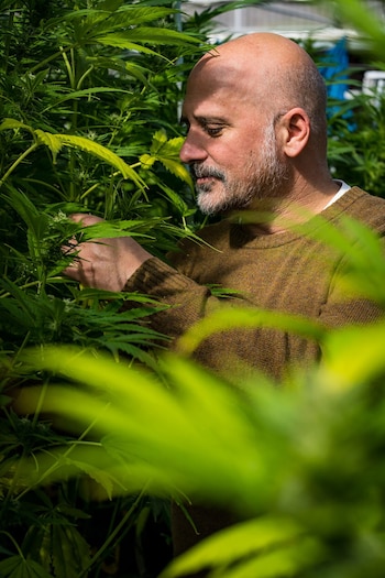 Pablo Fazio, presidente de la