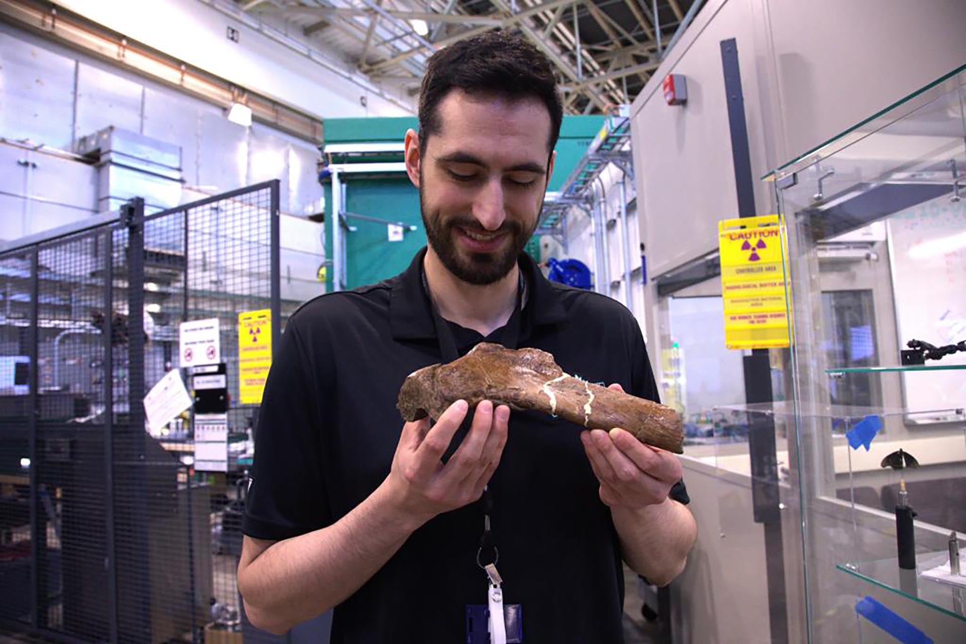 El fósil de T. rex hallado en Saskatchewan, Canadá, conserva una herida en proceso de curación, una condición poco frecuente en el registro prehistórico (Sumner Brown Gibbs/ORNL, Departamento de Energía de EE. UU.)