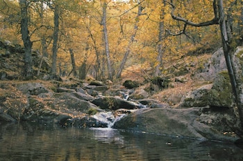 Senda del Arroyo del Sestil