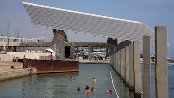La piscina de agua salada más grande de Barcelona: una isla para aves marinas y un futuro chiringuito libre de humo y alcohol
