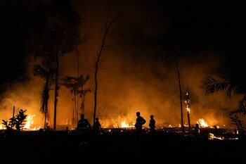 La combustión de materiales y vegetación durante los incendios puede generar acumulaciones de ceniza con cromo hexavalente. (EFE/ Raphael Alves)