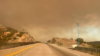 Defensa, CONAFOR, SADER, Protección Civil