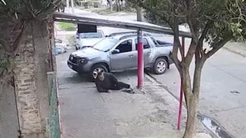 Vista aérea de un hombre con ropa oscura tirado en una acera de cemento junto a una camioneta plateada estacionada en la calle