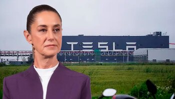 La titular del Ejecutivo afirmó