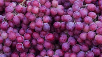 Uva Morada (Pinterest)