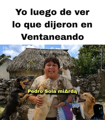 Pedro Sola memes