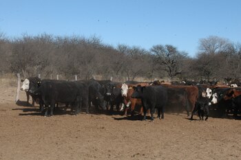 El proceso que mayor preocupación