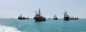 La pesca de anchoveta peruana