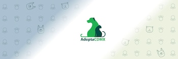 Adopta, no compres (x/ @AdoptaCDMX)