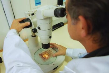 Frente al desafío de la