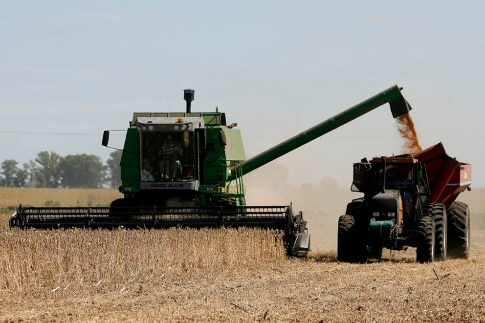 El aumento de retenciones al agro podría reducir hasta un 74% la rentabilidad en algunas regiones