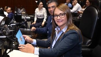 La diputada reprochó las críticas por sus declaraciones. | X- Gabriela Valdepeña