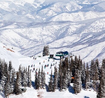 El lugar cuenta con cuatro