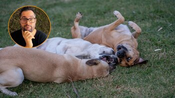 El educador canino Mariano García