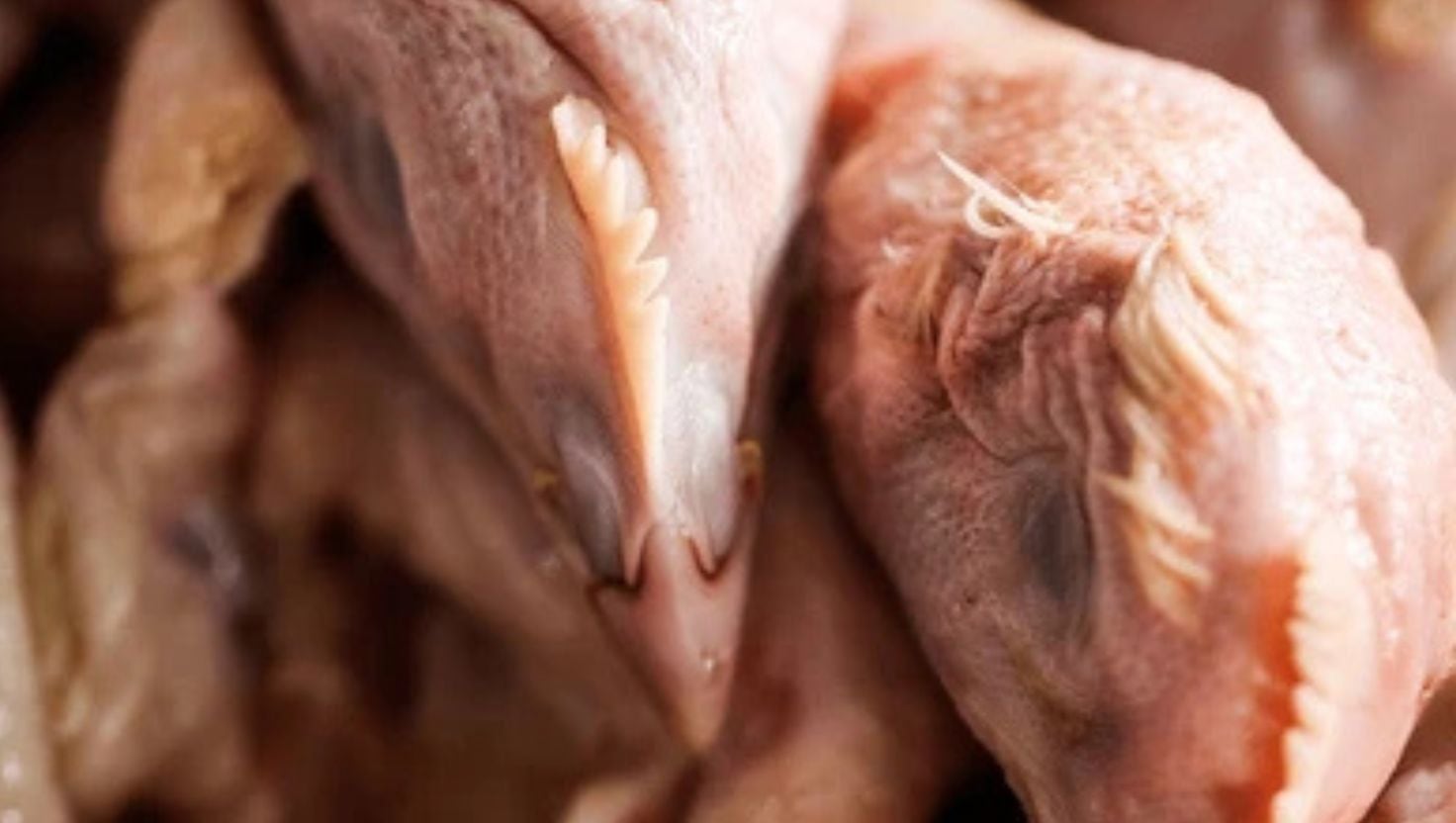 El Indecopi abrió un procedimiento sancionador contra cinco empresas avícolas por presunta concertación de precios del pollo en el norte del Perú.