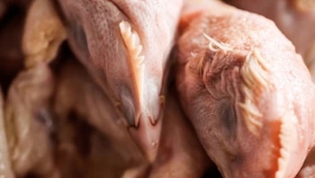 pollo - indecopi - mercados - inflacion