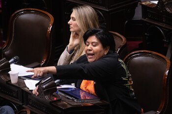 Natalia Sarapura presidió la comisión