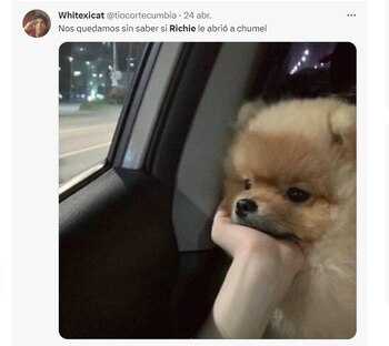 Usuarios en redes sociales reaccionaron