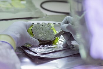 Toma de muestras de un