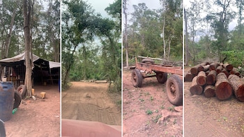 La UBA detectó varios campamentos