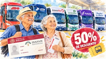 INAPAM 2026: estas líneas de autobuses ofrecen 50% de descuento en noviembre