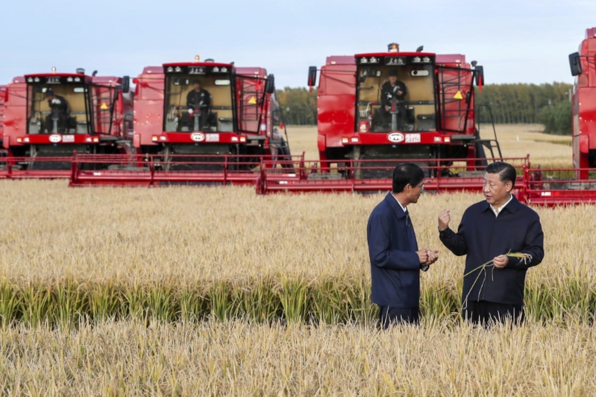 China reducirá sus importaciones de granos: señales preocupantes para el comercio global