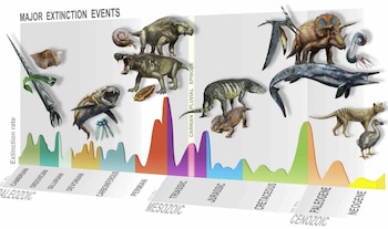 17/09/2020 Resumen de los principales