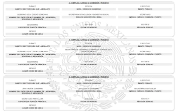 Cargos públicos declarados por Carlos Ulloa, director de Birmex. (PNT)