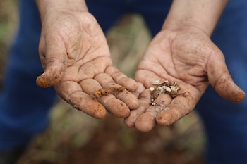 Las jornadas de prospección arqueológica