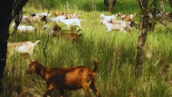 ¿Cuál es el poder oculto