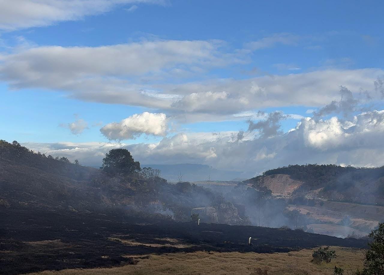 La Gobernación de Cundinamarca reportó 196 emergencias en 49 municipios durante agosto, con una afectación cercana a 1.380 hectáreas - crédito Gobernación Cundinamarca/Bomberos Cundinamarca