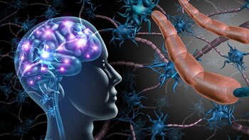 Descubren que el ACV, la