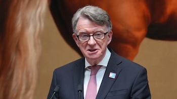 Arrestaron al ex embajador británico