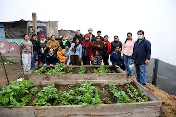 Jornadas comunitarias de compostaje y