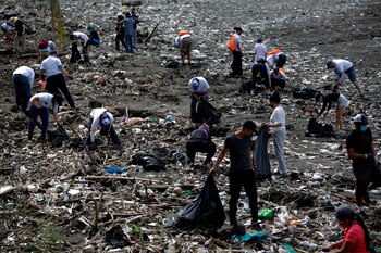 También hubo jornada de limpieza
