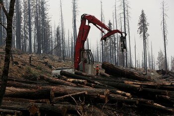 FOTO DE ARCHIVO: Una zona