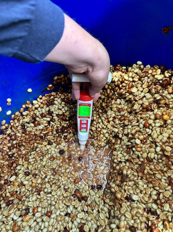Con barriles azules, USD 400 para ensayos iniciales y capacitación especializada, una productora construyó una línea de bebidas que llega a clientes locales e internacionales.
