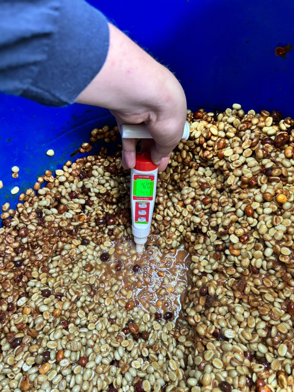 Con barriles azules, USD 400 para ensayos iniciales y capacitación especializada, una productora construyó una línea de bebidas que llega a clientes locales e internacionales.