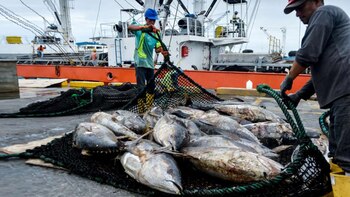 El Gobierno de Ecuador presentó